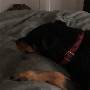 Meet your Posher, Jamie